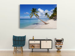 Fotoleinwand - Strand - Palmen - Meer und Himmel