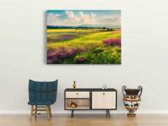 Fotoleinwand - Bunte Blumenwiese